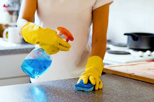 Deep carpet cleaning process for homes and businesses in Richmond upon Thames