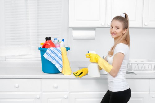 Specialist stain removal treatment for furniture and fabrics