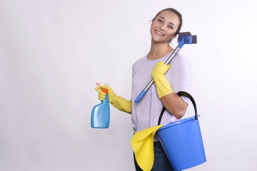 Commercial and domestic carpet cleaning services in Richmond upon Thames area