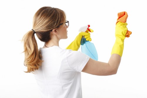 Professional carpet cleaning process in a residential interior
